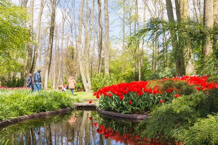 Lisse, Netherlands - April 25, 2017: Park of flowers Keukenhof and people in itのeditorial素材