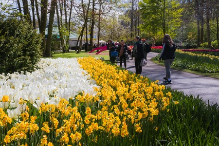 Lisse, Netherlands - April 25, 2017: Park of flowers Keukenhof and people in itのeditorial素材
