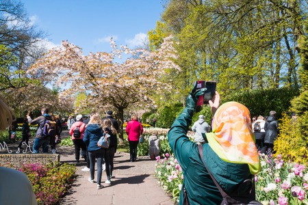 Lisse, Netherlands - April 25, 2017: People in the park of flowers Keukenhofのeditorial素材