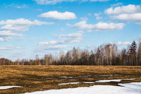 Yellow field in a suny spring day and white clouds on the blue skyの写真素材