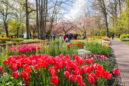 Lisse, Netherlands - April 25, 2017: Park of flowers Keukenhof and people in itのeditorial素材
