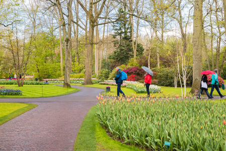 Lisse, Netherlands - April 25, 2017: Park of flowers Keukenhof and people in itのeditorial素材