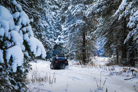 Car in a winter forest with trees covered white snowの写真素材