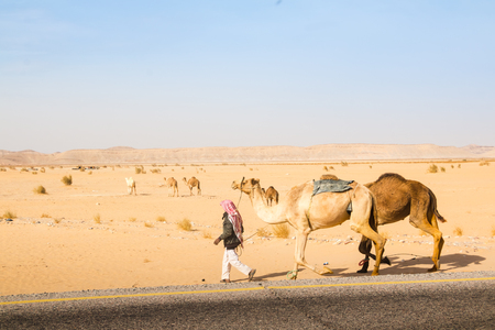 Agadir, Jordan - December 22, 2017: Arab man with a camel is walking across the roadのeditorial素材