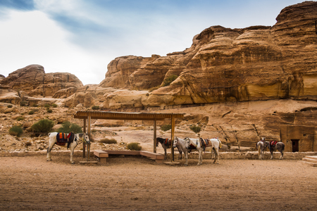 The horse for tourists tied to a stone in the Petra Jordan in a dayの写真素材