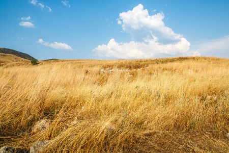Field full of yellow grass and rocks on it sunny autumn day with blue skyの写真素材