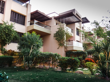 Bush full of flowers near the house in a summer dayの写真素材