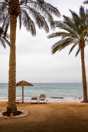 Bech with coconut trees and umbrellas in a Windy and cloudy dayの写真素材