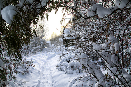 Typical russian abandoned snow-covered village in winter evening and snowing trees aroundの写真素材