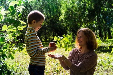 Mom and son having fun in the park in a summer sunny dayの写真素材