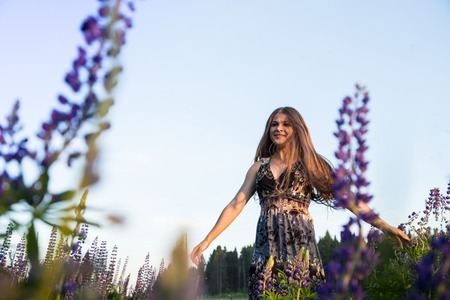 Blonde girl in a field of purple lupines in a summer eveningの写真素材