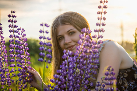 Blonde girl in a field of purple lupines in a summer eveningの写真素材