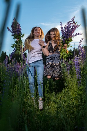 Two female friends in a field of purple lupines in a summer eveningの写真素材