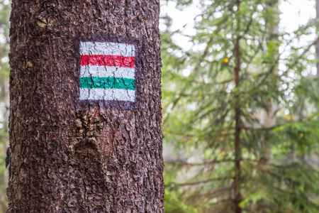 Marking the tourist route painted on the tree. Travel route sign.の写真素材