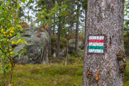 Marking the tourist route painted on the tree. Travel route sign.