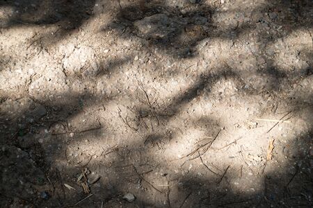 Small stones and ground texture with grass background in sunny dayのeditorial素材