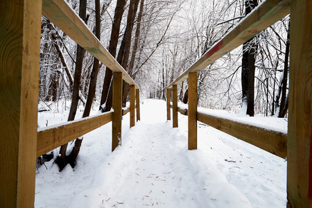 Wooden bridge in winter among the snow in the forest