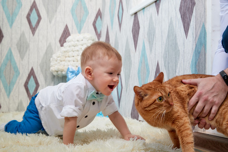 Small fanny male child in a nice dress on the floor during a photo shoot in the room in 1 year and red catの写真素材