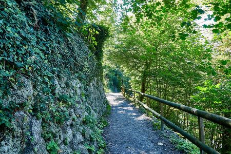 Path in the mountains among the green plants on a summer day. Beautiful mountains landcapeの写真素材