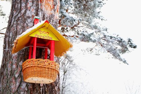 Beautiful feeder for bird in winter forest. White landscape in a cold dayの写真素材