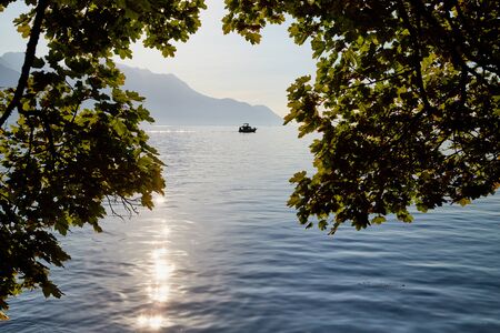 View on lake and mountains scenes through branch of tree during sunset in a summer eveningの写真素材