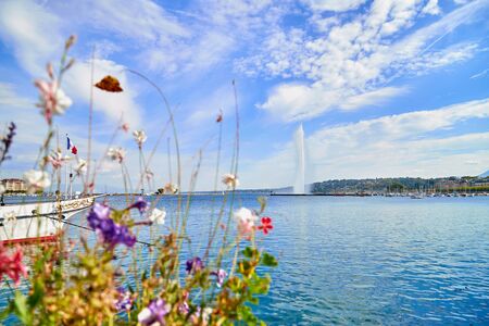 Geneva, Switzeland - September 21, 2018: Panoramic view on famous Jet d'Eau fountain through flowers in a nice day with blue sky and clouds in summer, Canton of Geneva, Switzerlandのeditorial素材