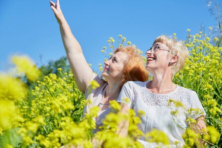 Two female friends in field with yellow flowers. Chubby and slim middle-aged women pensioners having rest in a green field on a Sunny summer day. Two sisters in flowersの写真素材