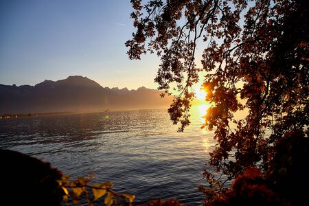 View on lake and mountains scenes through branch of tree during sunset in a summer eveningの写真素材