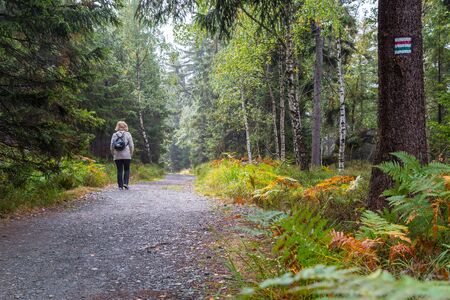 Table mountains, Poland - September 15, 2018: Path in the mountains among forest on a summer day and tourist on it. Beautiful mountains and trees landcapeのeditorial素材