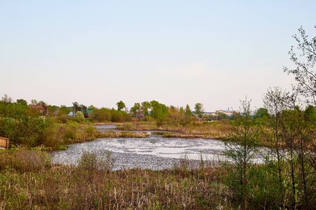 Natural landscape with lake or swamp, grass, trees in the evening in the sunset light in a summer, spring or autumn timeの写真素材