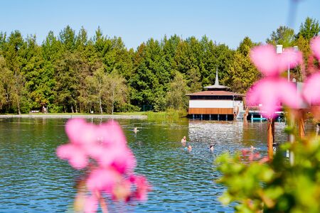 Heviz, Hungary - September 27, 2018: Balneological therapeutic lake Heviz in Hungary with warm water during all time of a yearのeditorial素材