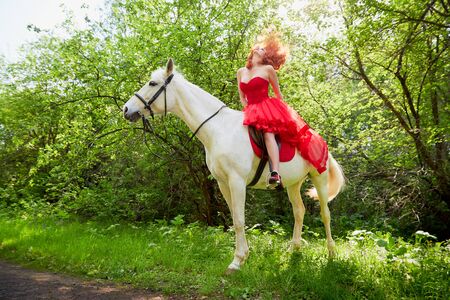 Girl in beautiful red dress on white horse in Park or forest. Photo shoot models and fashion. Unusual posing with an animal in the summer day on natureの写真素材