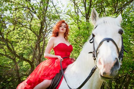 Girl in beautiful red dress on white horse in Park or forest. Photo shoot models and fashion. Unusual posing with an animal in the summer day on natureの写真素材