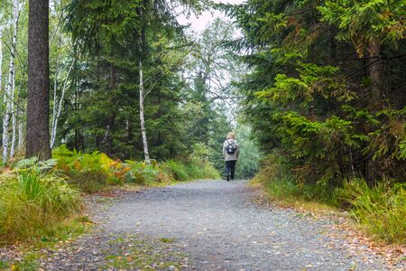 Table mountains, Poland - September 15, 2018: Path in the mountains among forest on a summer day and tourist on it. Beautiful mountains and trees landcapeのeditorial素材