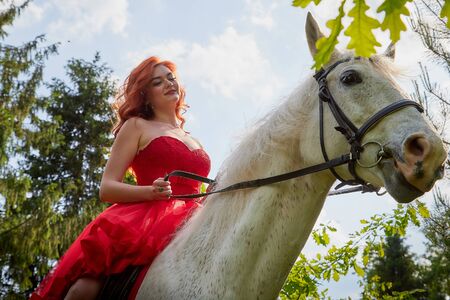 Girl in beautiful red dress on white horse in Park or forest. Photo shoot models and fashion. Unusual posing with an animal in the summer day on natureの写真素材