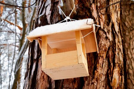 Beautiful feeder for bird in winter forest. White landscape in a cold day
