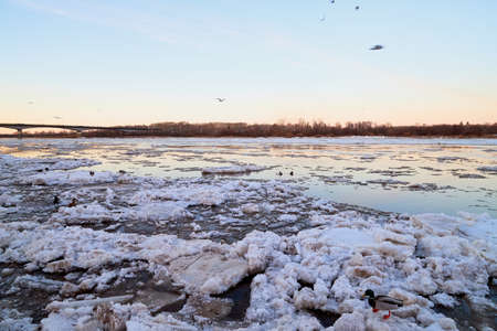 River with ice drift and evening sunset sky. Big white and blue pieces of ice and snow in a spring and pink sky backgroundのeditorial素材