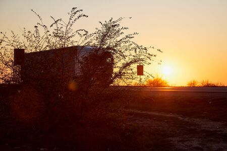 Countryside road, black silhouettes branches of bushes and light orange or yellow sunset backgroundの写真素材