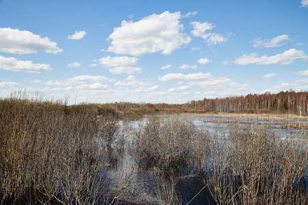 High water on a river or on a lake in sunny spring day. Russian nature landscape with water, trees...