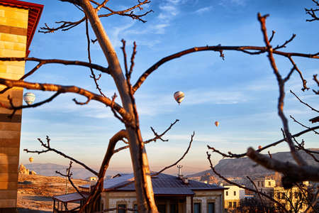 Cappadocia, Turkey - December 20, 2019: Hot air balloons flying in blue sky with white clouds at morning during sinrise and branch of trees. Great interesting attraction for tourists in Goremeのeditorial素材