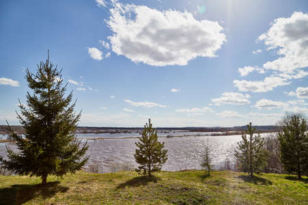 High water on a river or on a lake in sunny spring day. Russian nature landscape with water, trees and blue sky with white cloudsのeditorial素材