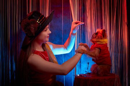 Beautiful girl model training a small dog on the theater stage. Photo shoot in the red circus styleの写真素材