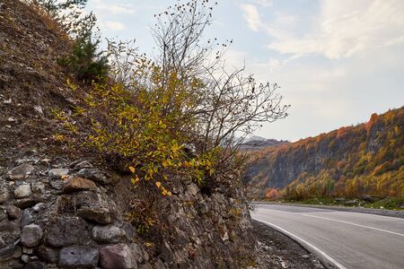 Beautiful landscape with empty road in the mountains in a summer or autumn day