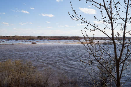 High water on a river or on a lake in sunny spring day. Russian nature landscape with water, trees and blue sky with white cloudsのeditorial素材