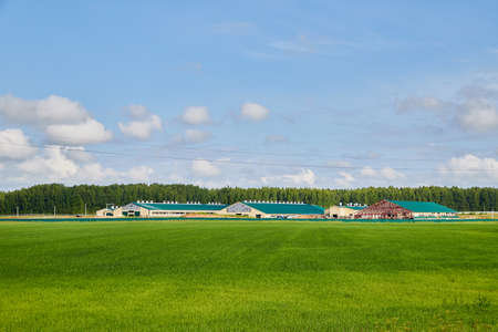 Beautiful landscape with blue sky, white clouds, green field and village on the background.の写真素材