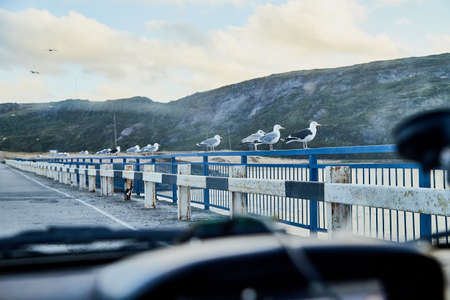 View on railing of bridge and water of river below. Hills in nature landscape in the evening or...