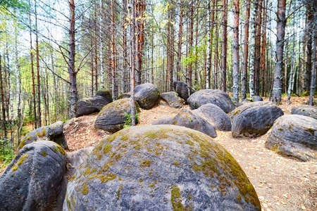 Large gray stone boulders in the forest among tree trunks in autumn, spring or summerの写真素材