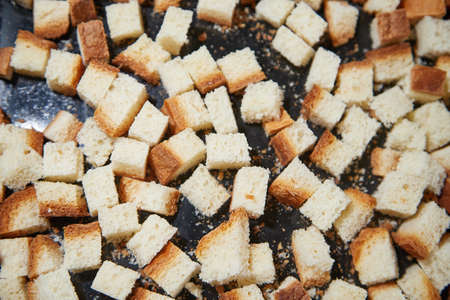 Square toasted pieces of homemade delicious rusk, hardtack, Dryasdust, zwieback on a baking sheetの写真素材