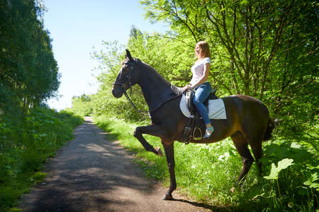 Slim girl and a brown horse in a Park on a Sunny day and green trees in the background. Young woman rides a horseの写真素材