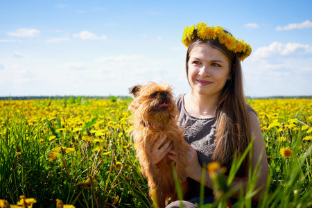 Beautiful young woman on a field with green grass and yellow dandelion flowers in a sunny day. Girl with small dog on natureの写真素材